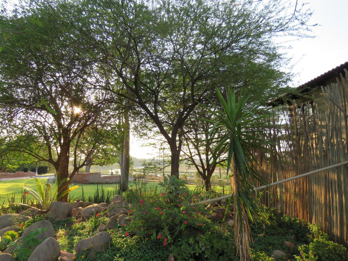 Chalet Kruger View Tree House *