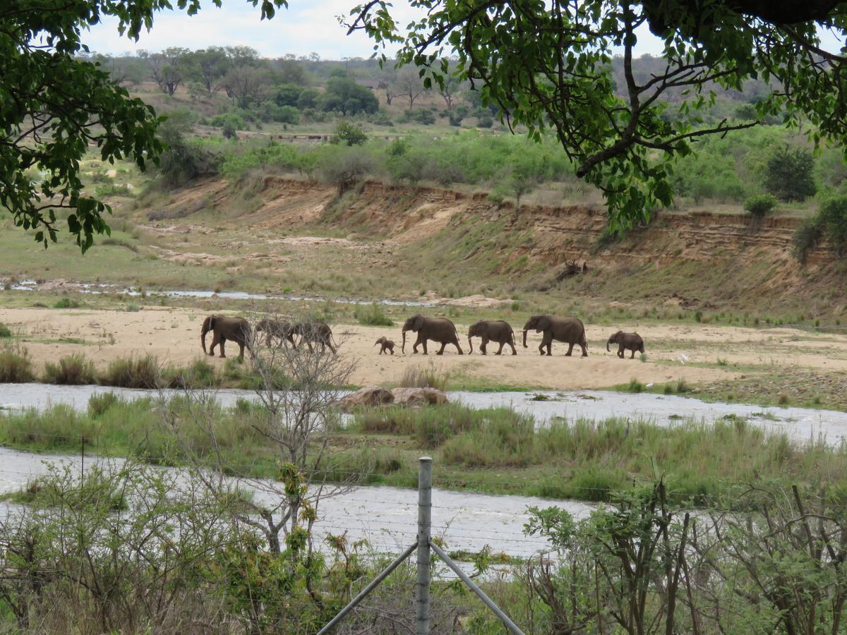 Kruger View Tree House