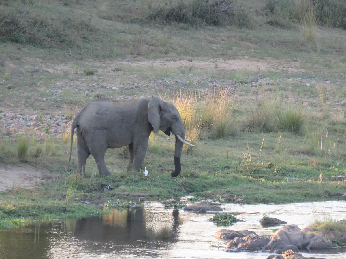 Kruger View Tree House Marloth Park