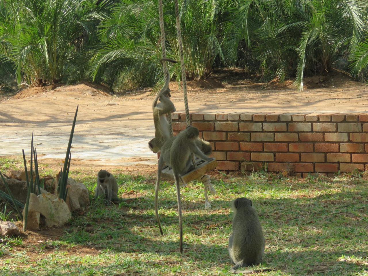 Kruger View Tree House Marloth Park